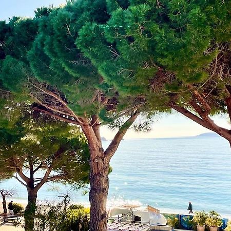 Appartement les pieds dans l'eau à Cavalière  Le Lavandou Exterior foto