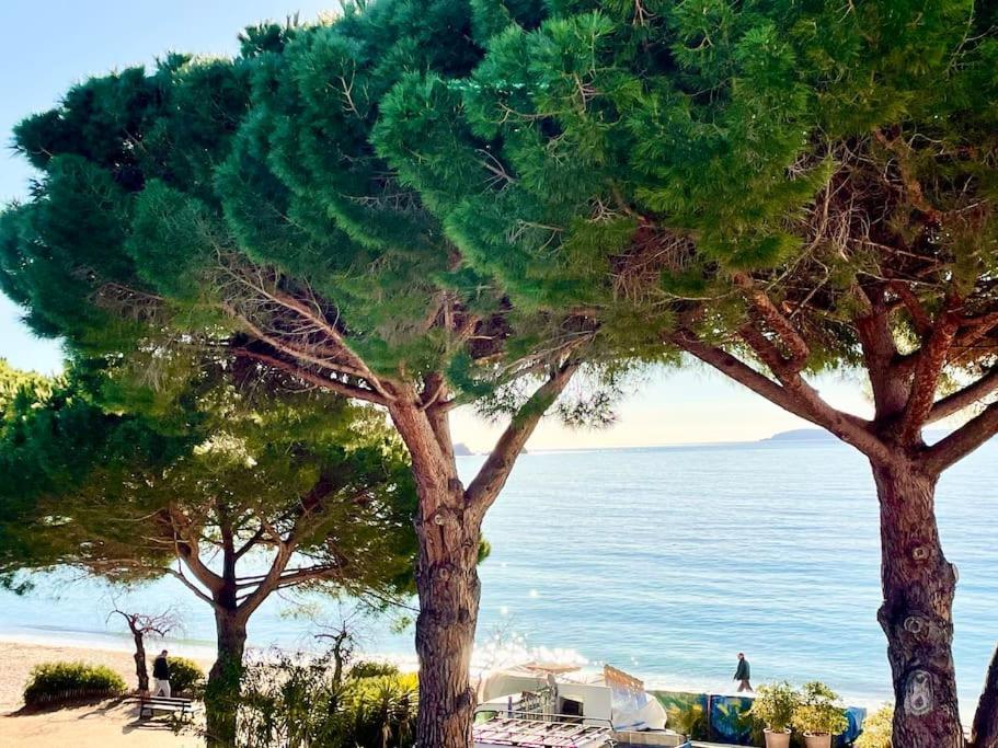 Appartement les pieds dans l'eau à Cavalière  Le Lavandou Exterior foto