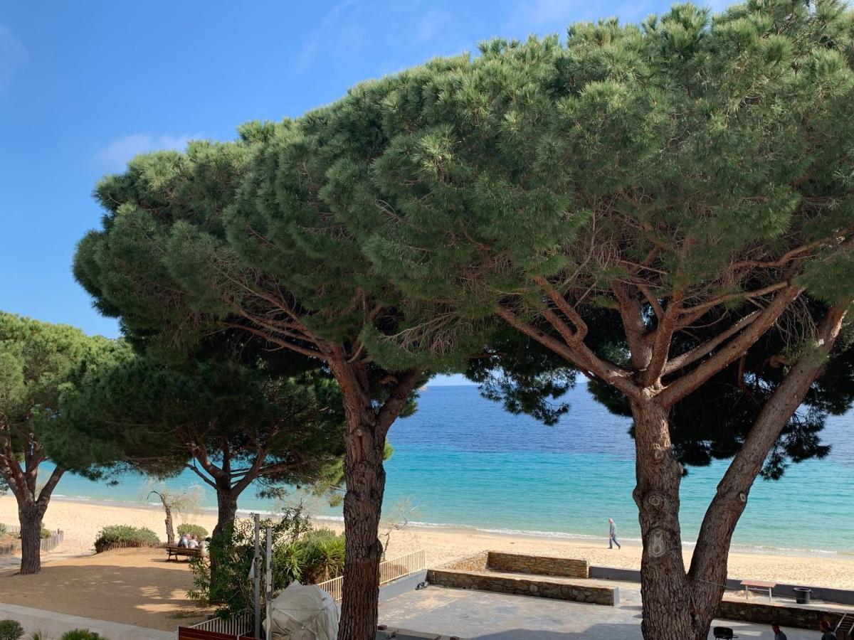 Appartement les pieds dans l'eau à Cavalière  Le Lavandou Exterior foto